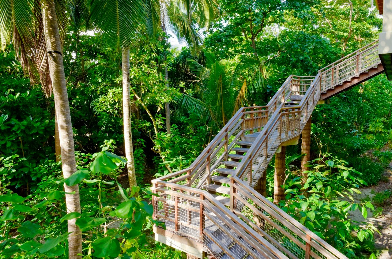 tree house maldives